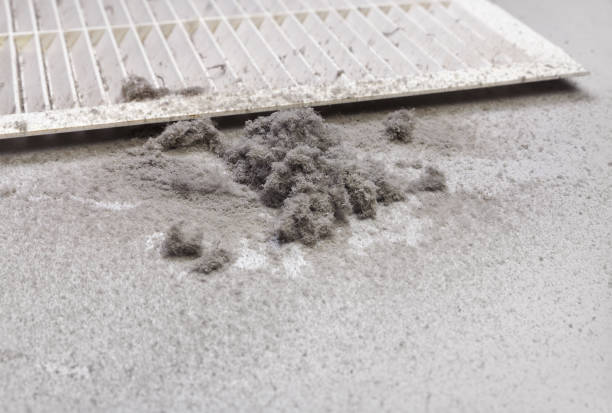 Best HVAC System Cleaning  in Roaring Spring, PA