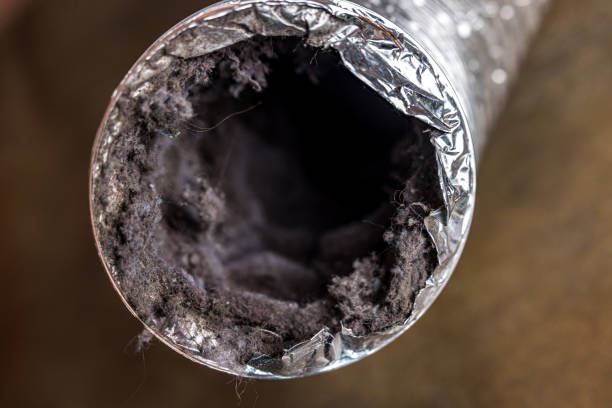 Best Affordable Duct Cleaning Services  in Roaring Spring, PA